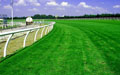 Selangor Turf Club
