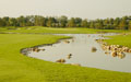 Wuyi Golf-China