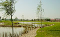 Wuyi Golf-China
