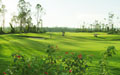 Eastwood Valley Golf & Country Club